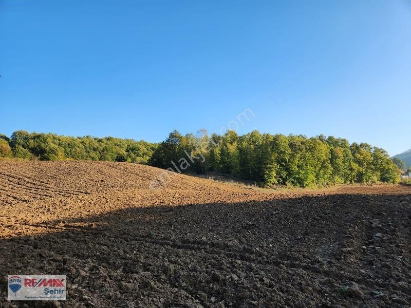 Yalova Altınova Aktoprak Köyünde 12.556m2 Satılık Tarla — fotoğraf 10