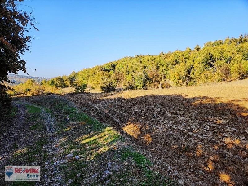 Yalova Altınova Aktoprak Köyünde 12.556m2 Satılık Tarla — fotoğraf 11