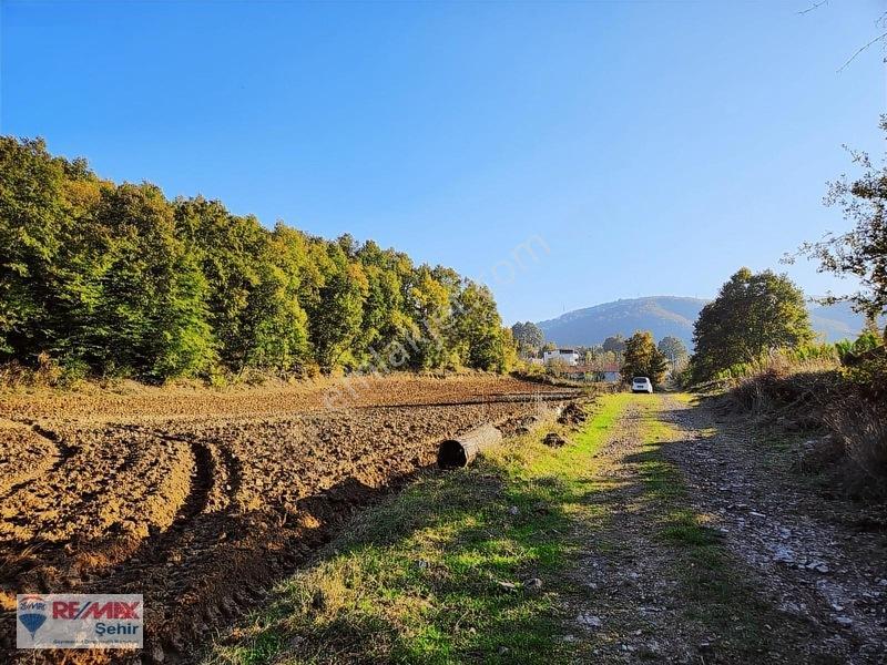 Yalova Altınova Aktoprak Köyünde 12.556m2 Satılık Tarla — fotoğraf 12