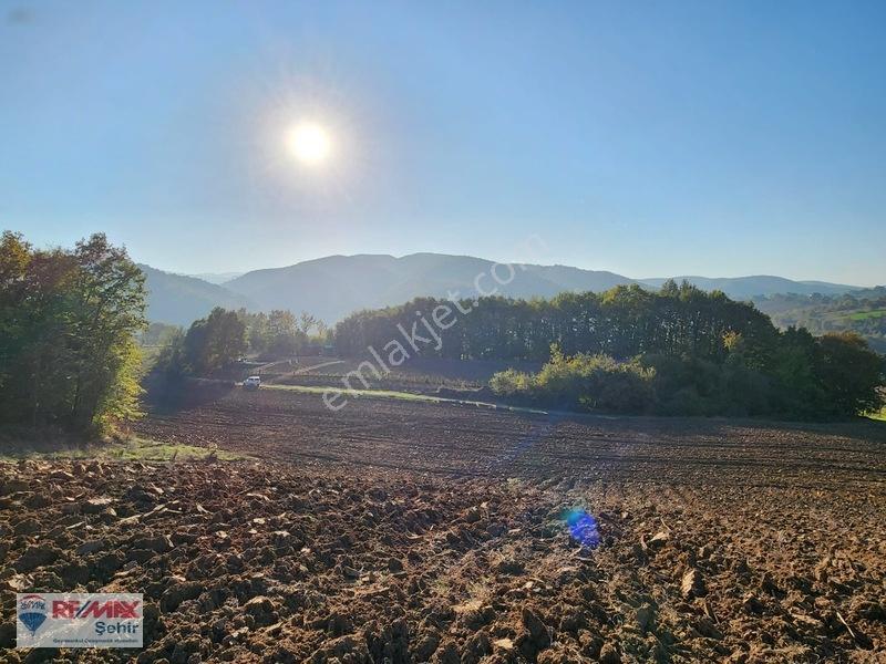 Yalova Altınova Aktoprak Köyünde 12.556m2 Satılık Tarla — fotoğraf 13