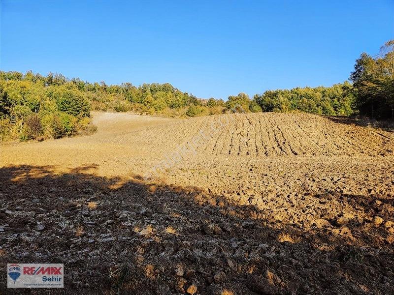 Yalova Altınova Aktoprak Köyünde 12.556m2 Satılık Tarla — fotoğraf 15