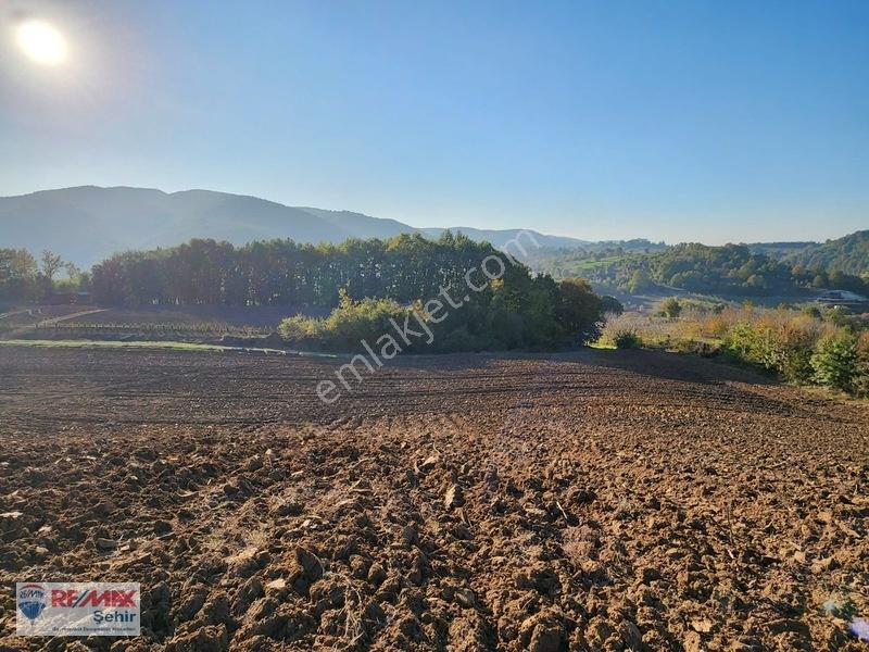Yalova Altınova Aktoprak Köyünde 12.556m2 Satılık Tarla — fotoğraf 16