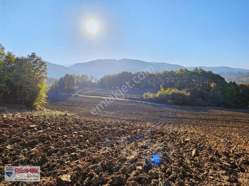 Yalova Altınova Aktoprak Köyünde 12.556m2 Satılık Tarla — fotoğraf 17