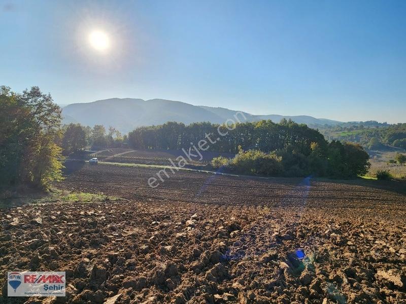 Yalova Altınova Aktoprak Köyünde 12.556m2 Satılık Tarla — fotoğraf 18