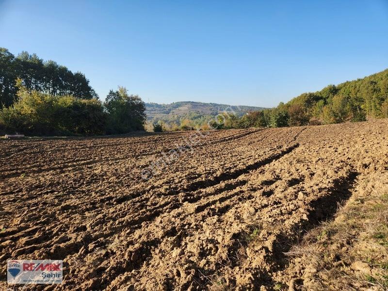 Yalova Altınova Aktoprak Köyünde 12.556m2 Satılık Tarla — fotoğraf 20