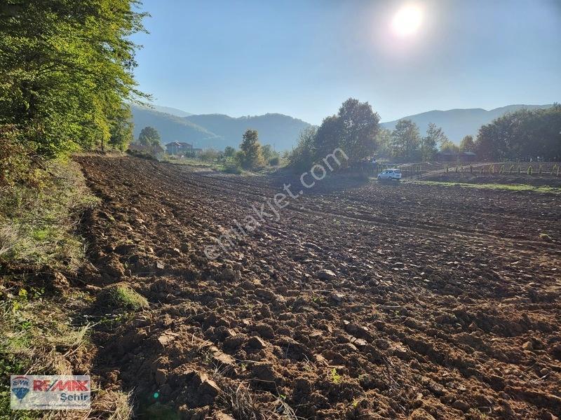 Yalova Altınova Aktoprak Köyünde 12.556m2 Satılık Tarla — fotoğraf 21
