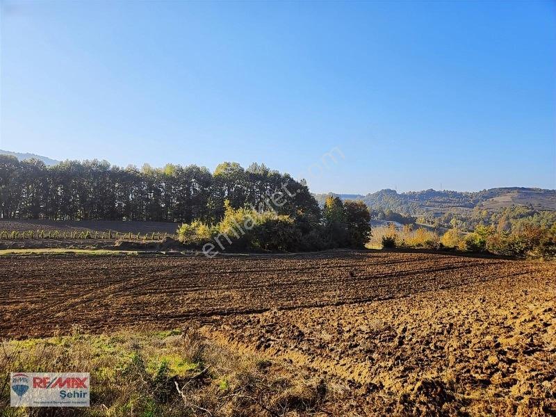 Yalova Altınova Aktoprak Köyünde 12.556m2 Satılık Tarla — fotoğraf 22