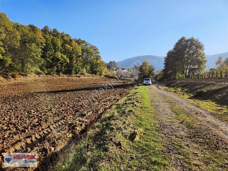 Yalova Altınova Aktoprak Köyünde 12.556m2 Satılık Tarla — fotoğraf 23