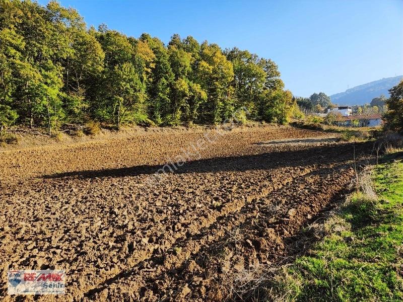 Yalova Altınova Aktoprak Köyünde 12.556m2 Satılık Tarla — fotoğraf 24
