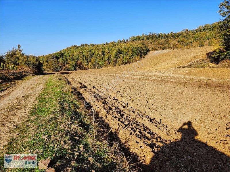 Yalova Altınova Aktoprak Köyünde 12.556m2 Satılık Tarla — fotoğraf 25