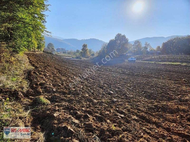 Yalova Altınova Aktoprak Köyünde 12.556m2 Satılık Tarla — fotoğraf 26