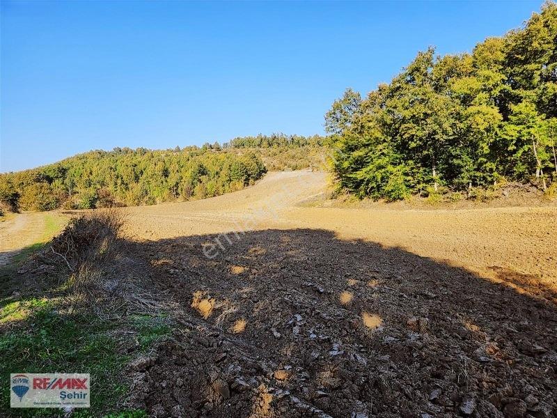 Yalova Altınova Aktoprak Köyünde 12.556m2 Satılık Tarla — fotoğraf 27