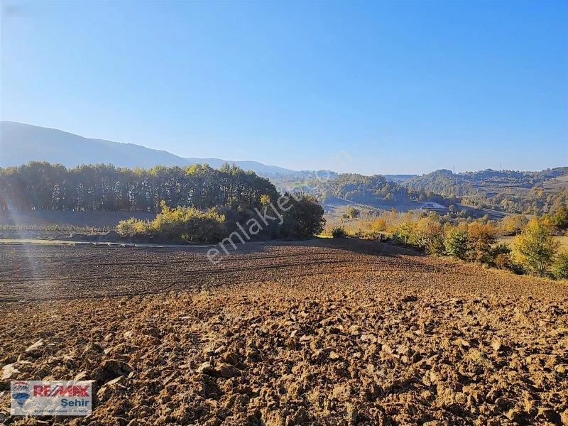 Yalova Altınova Aktoprak Köyünde 12.556m2 Satılık Tarla — fotoğraf 28