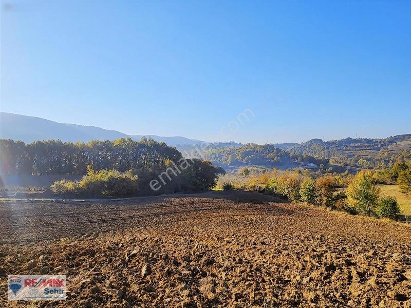 Yalova Altınova Aktoprak Köyünde 12.556m2 Satılık Tarla — fotoğraf 29