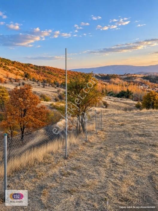 Gediz Işıklarda 8.551 M² Tel Çevrili Emsallerinin Altında Tarla
