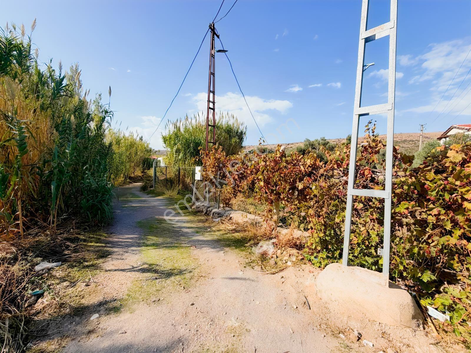 Er Yapı Urla Zeytineli'nde Azmak Denizine Yürüme Mesafesinde — fotoğraf 4