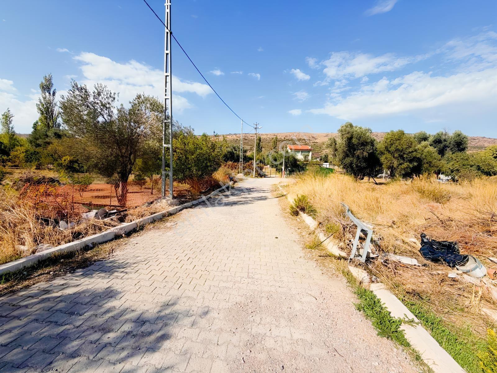 Er Yapı Urla Zeytineli'nde Azmak Denizine Yürüme Mesafesinde — fotoğraf 8