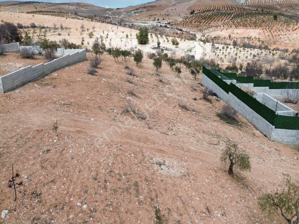 Repa Gayrimenkul Emin Darıcıoğlu Bilek Mah. Fırsat Satılık Tarla — fotoğraf 2