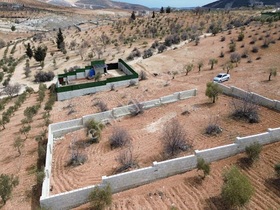 Repa Gayrimenkul Emin Darıcıoğlu Bilek Mah. Fırsat Satılık Tarla — fotoğraf 4