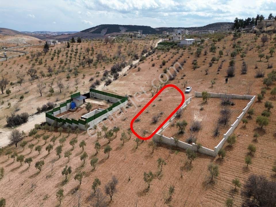Repa Gayrimenkul Emin Darıcıoğlu Bilek Mah. Fırsat Satılık Tarla — fotoğraf 5