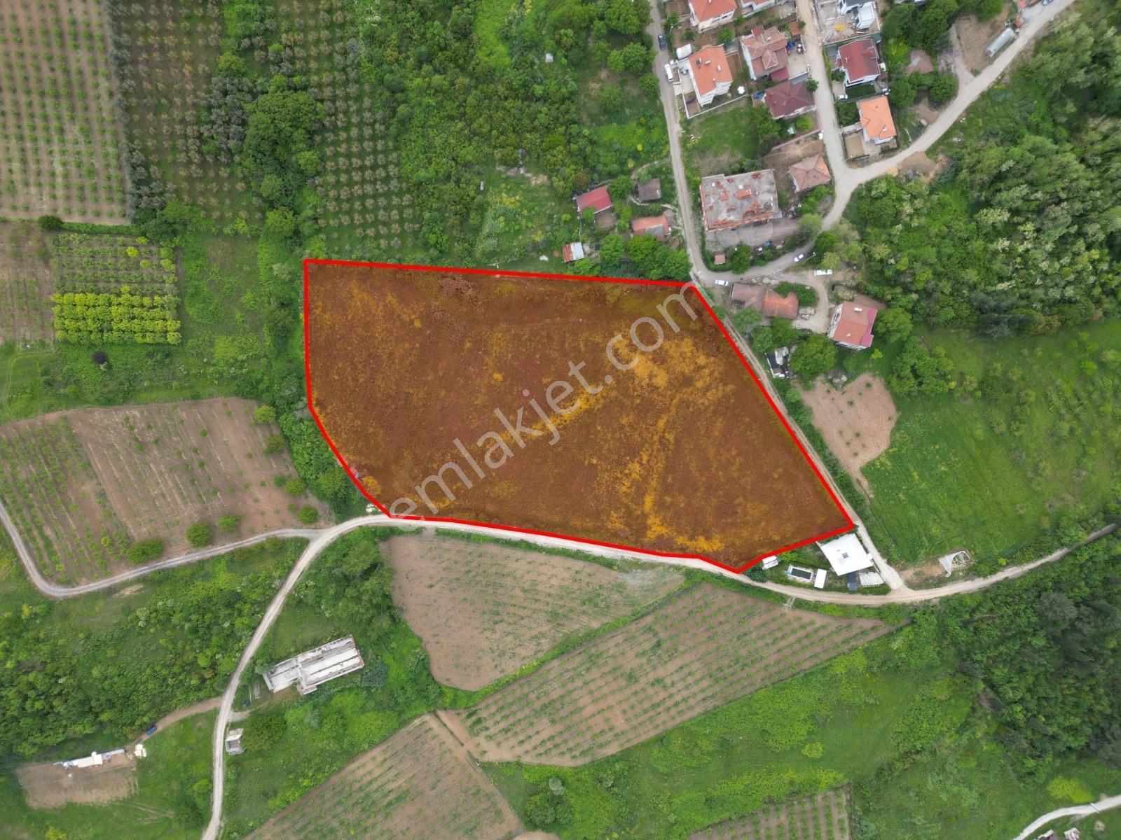Yalova Altınova Hürriyette İmara Sıfır Konumda 18.104 M Satılık — fotoğraf 2