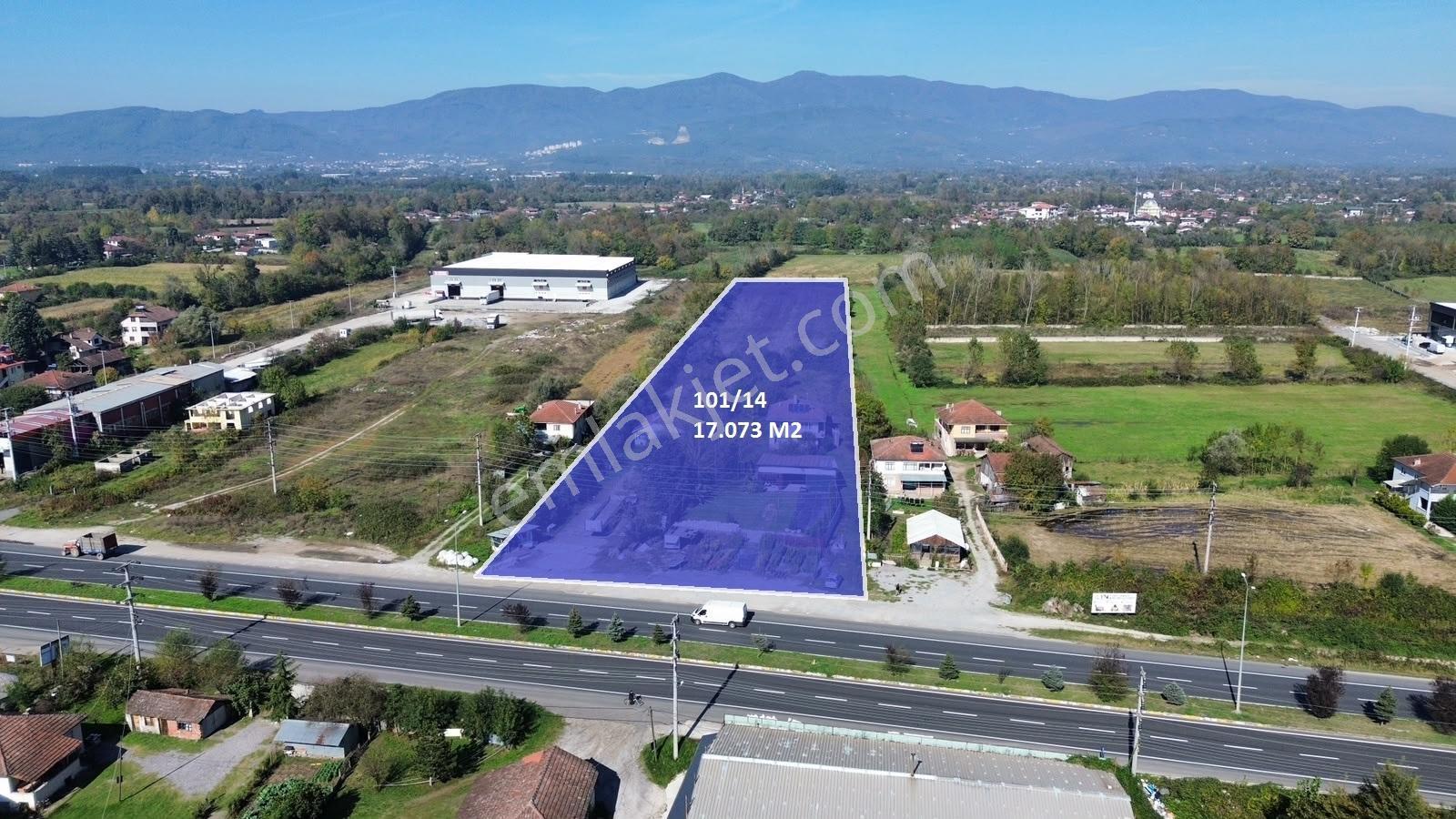 Düzce D100 Cepheli 17.073 M² Satılık Sanayi İmarlı Arsa