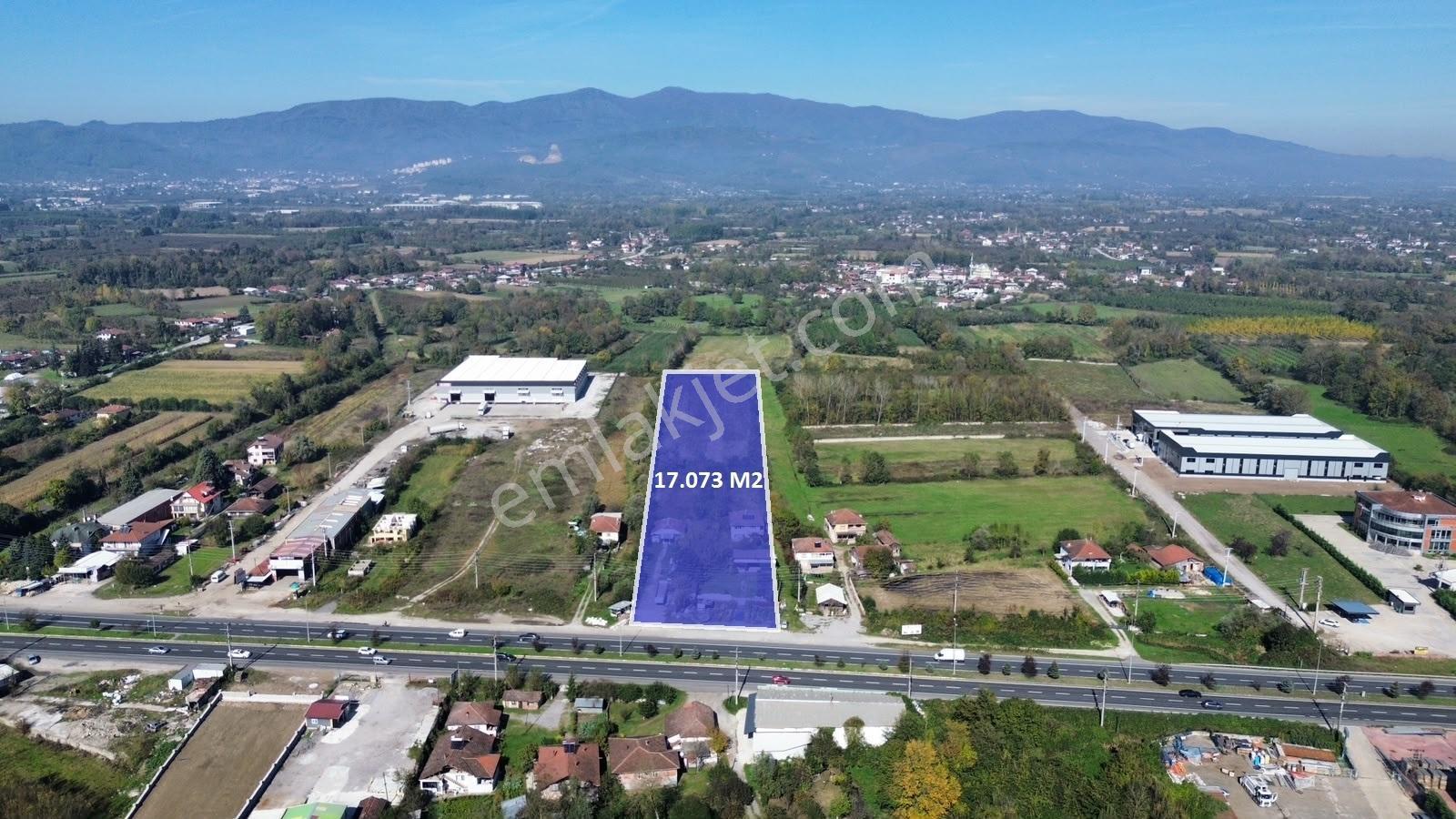 Düzce D100 Cepheli 17.073 M² Satılık Sanayi İmarlı Arsa — fotoğraf 2