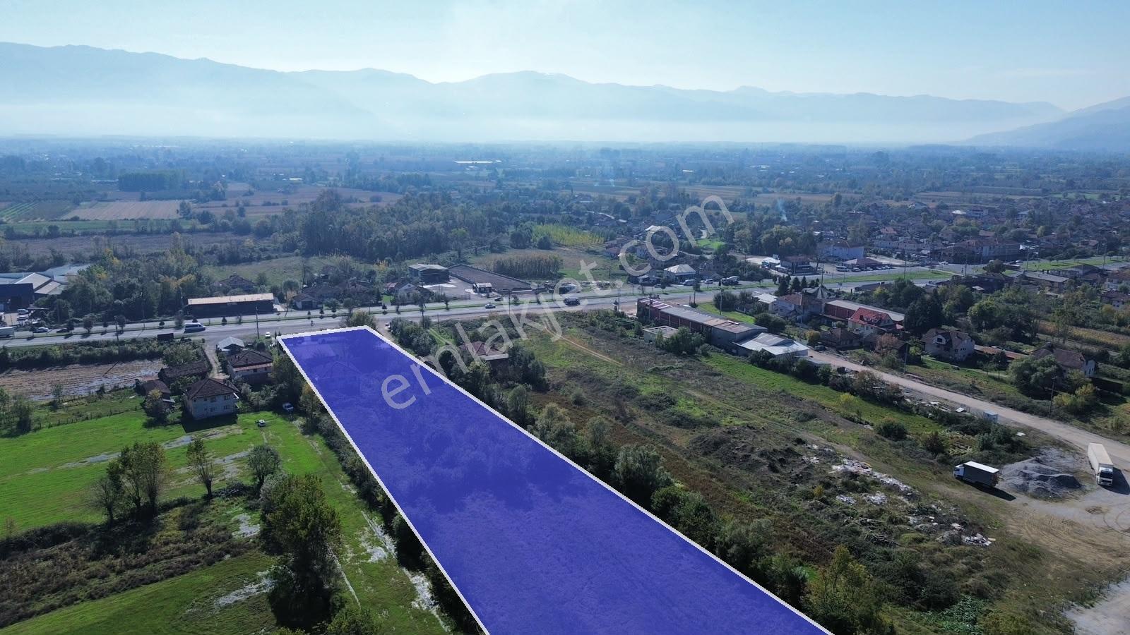 Düzce D100 Cepheli 17.073 M² Satılık Sanayi İmarlı Arsa — fotoğraf 3