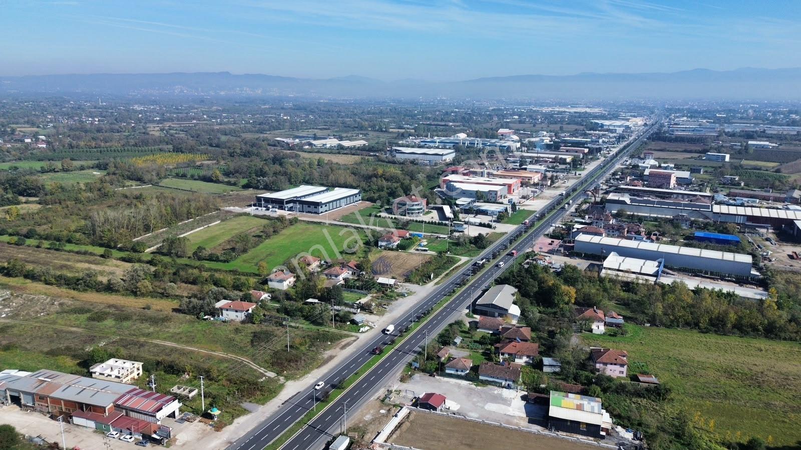 Düzce D100 Cepheli 17.073 M² Satılık Sanayi İmarlı Arsa — fotoğraf 5