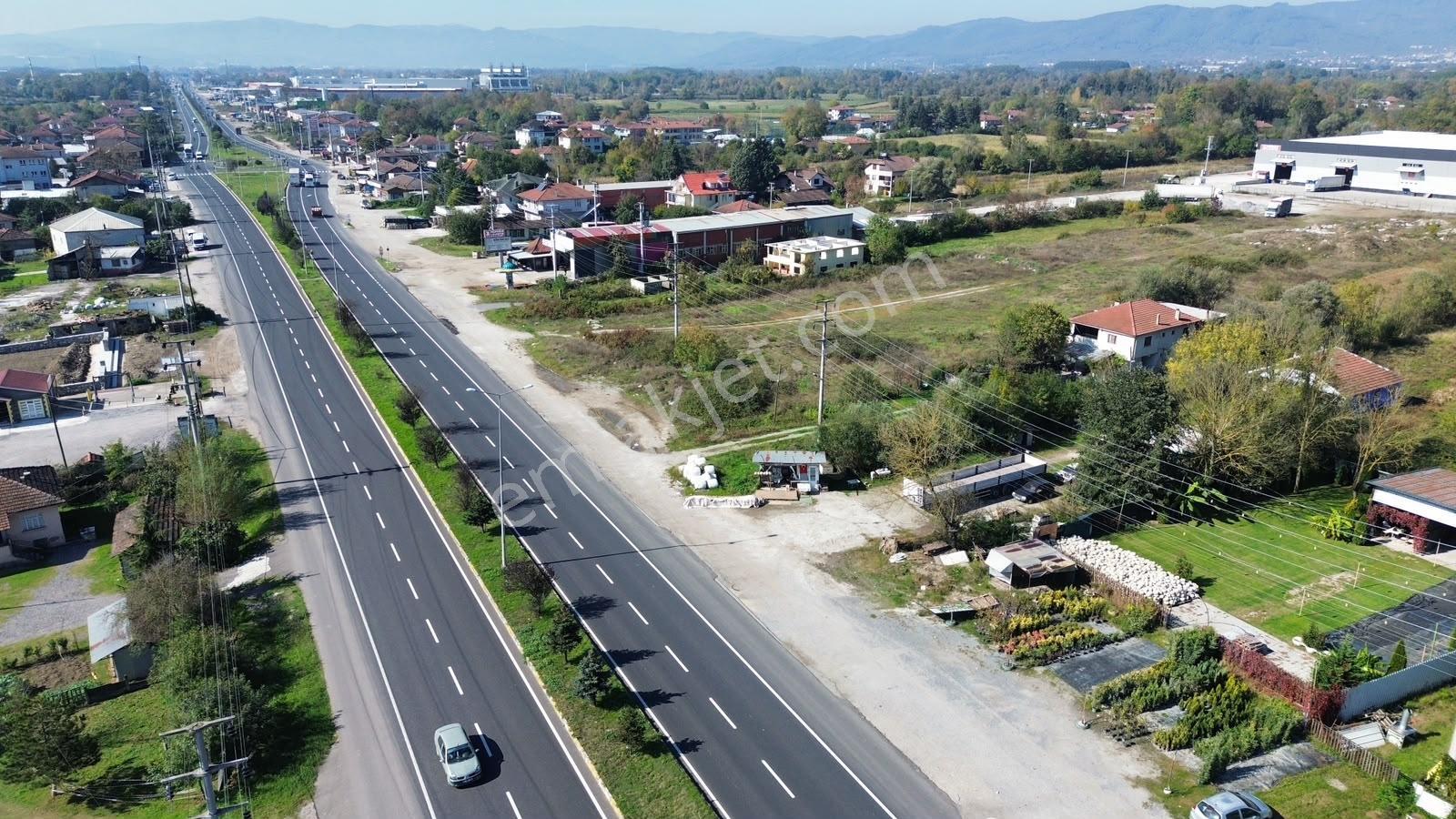 Düzce D100 Cepheli 17.073 M² Satılık Sanayi İmarlı Arsa — fotoğraf 7
