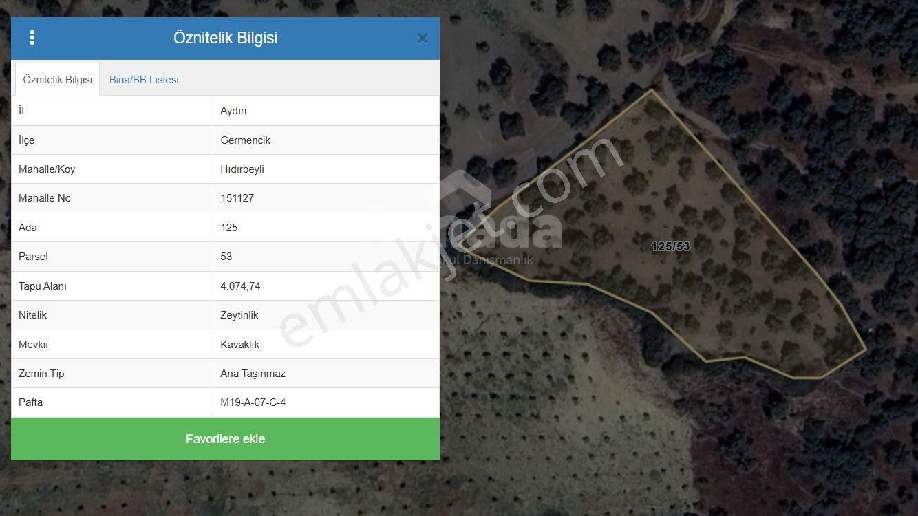 Hıdırbeylide Bakımlı Verimli Ve Yola Cepheli Satılık Zeytinlik — fotoğraf 27