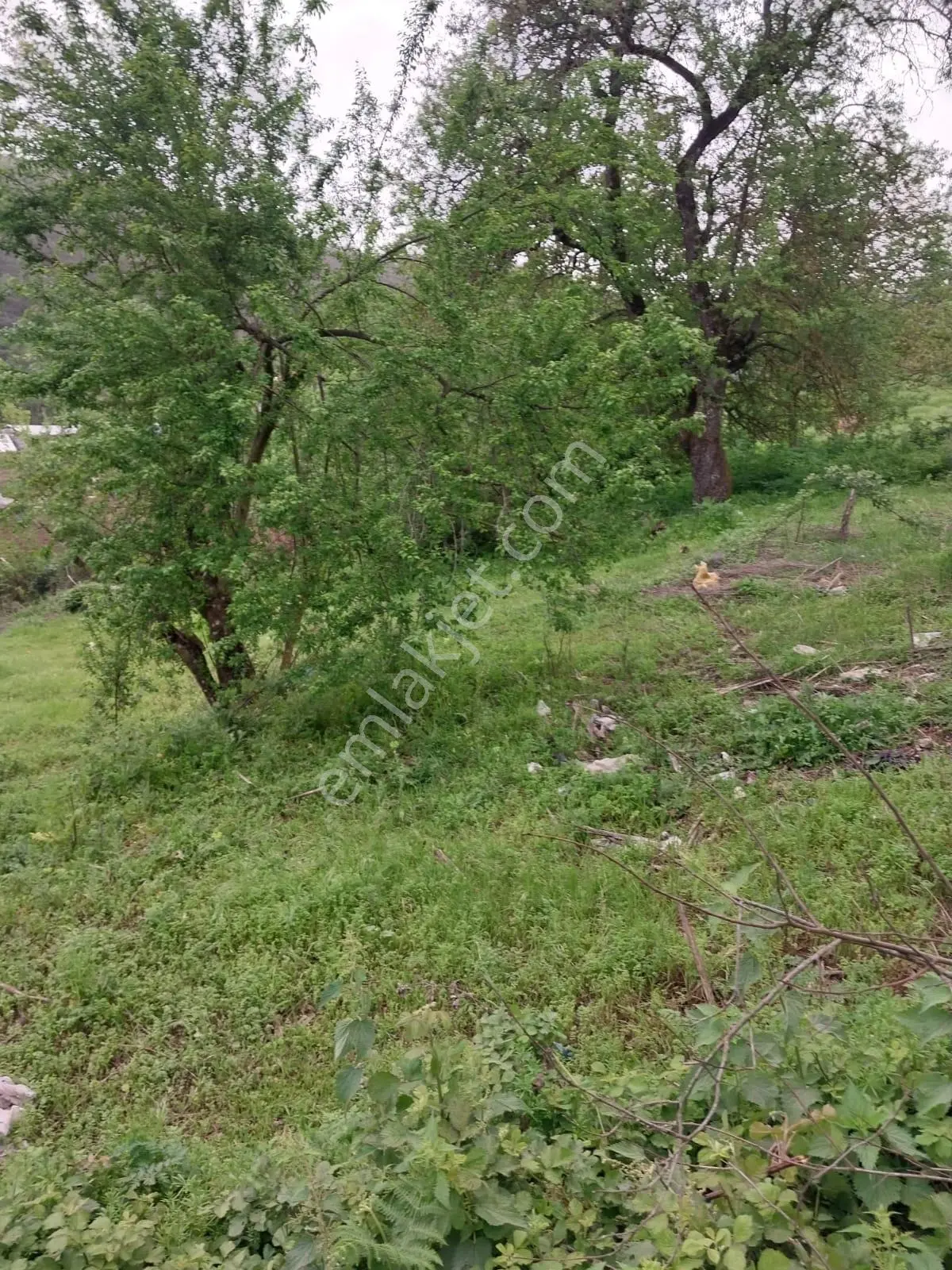 Çanakkale Yenice Torhasan Köyü’nde 365 M² Köy Yerleşik Alanında Satılık Arsa — fotoğraf 2