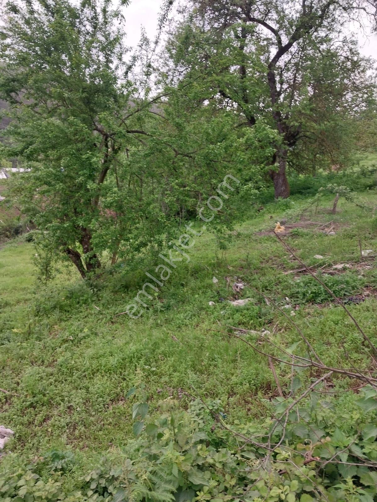 Çanakkale Yenice Torhasan Köyü’nde 365 M² Köy Yerleşik Alanında Satılık Arsa — fotoğraf 7