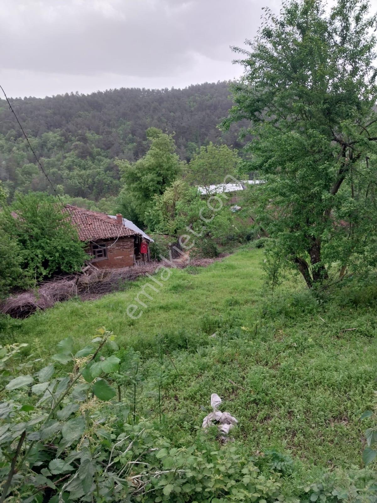 Çanakkale Yenice Torhasan Köyü’nde 365 M² Köy Yerleşik Alanında Satılık Arsa — fotoğraf 9