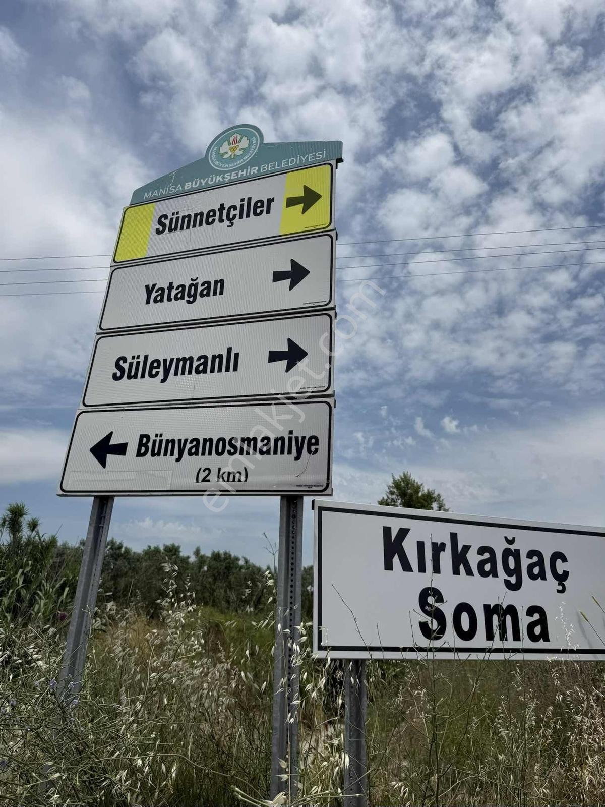 Akhisar Sünnetçilerde | 2537 M2 Zeytinlik | Köy'e 370 Mt Mesafe — fotoğraf 2
