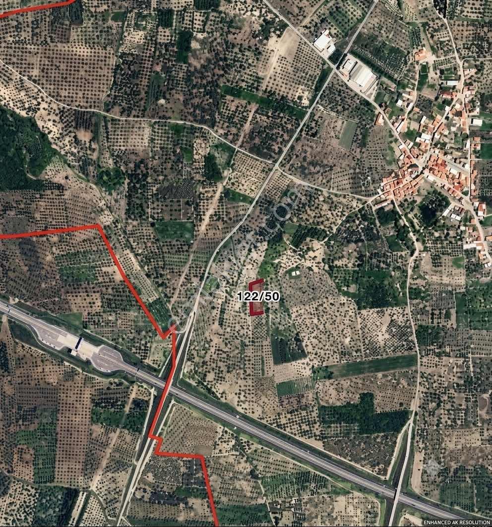 Akhisar Sünnetçilerde | 2537 M2 Zeytinlik | Köy'e 370 Mt Mesafe — fotoğraf 10