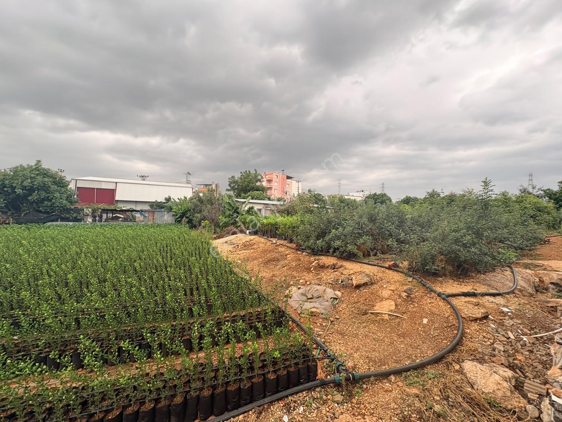 Mersin Erdemli Kargıcak'ta Satılık 835 M² Konut İmarlı Arsa — fotoğraf 8