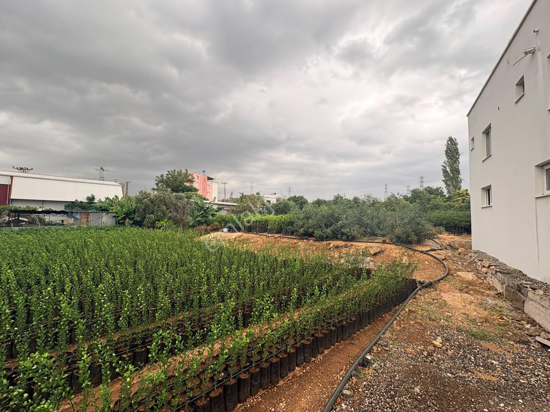 Mersin Erdemli Kargıcak'ta Satılık 835 M² Konut İmarlı Arsa — fotoğraf 9