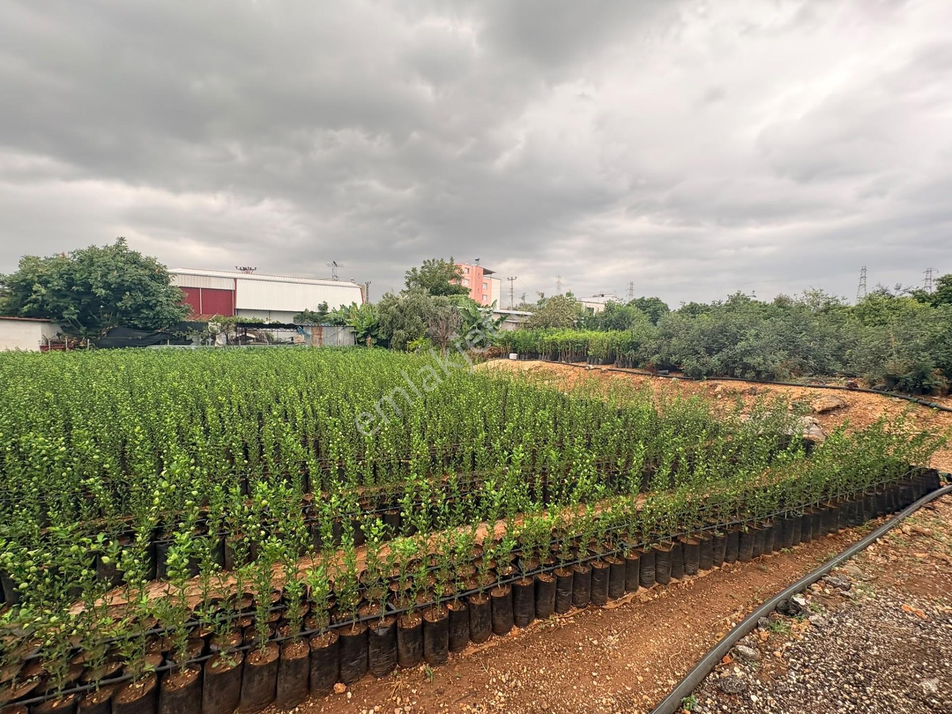 Mersin Erdemli Kargıcak'ta Satılık 835 M² Konut İmarlı Arsa — fotoğraf 10