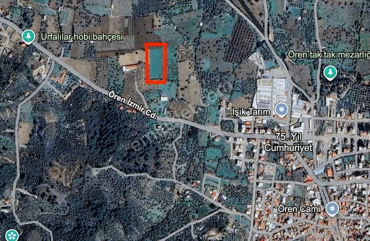 28 İzmir Kemalpaşa 75. Yıl Ören Mh. 6046 M2 Satılık Bağ Tarla — fotoğraf 2