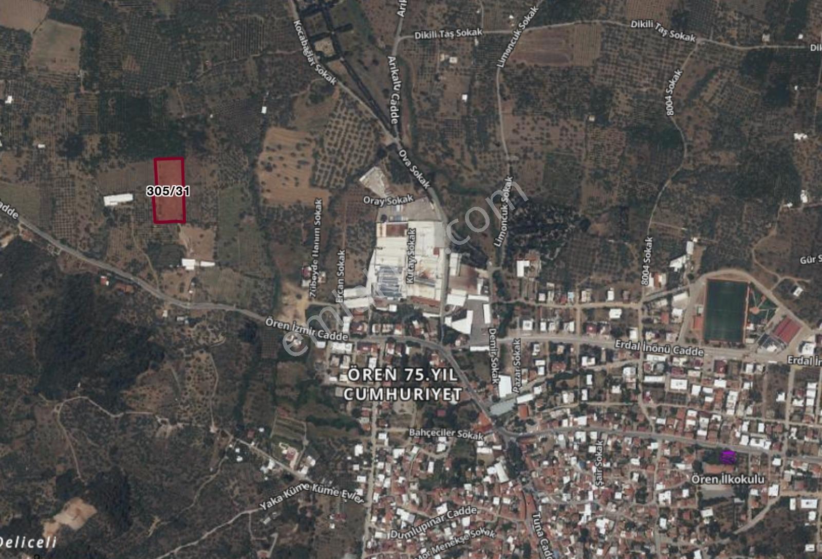28 İzmir Kemalpaşa 75. Yıl Ören Mh. 6046 M2 Satılık Bağ Tarla — fotoğraf 7