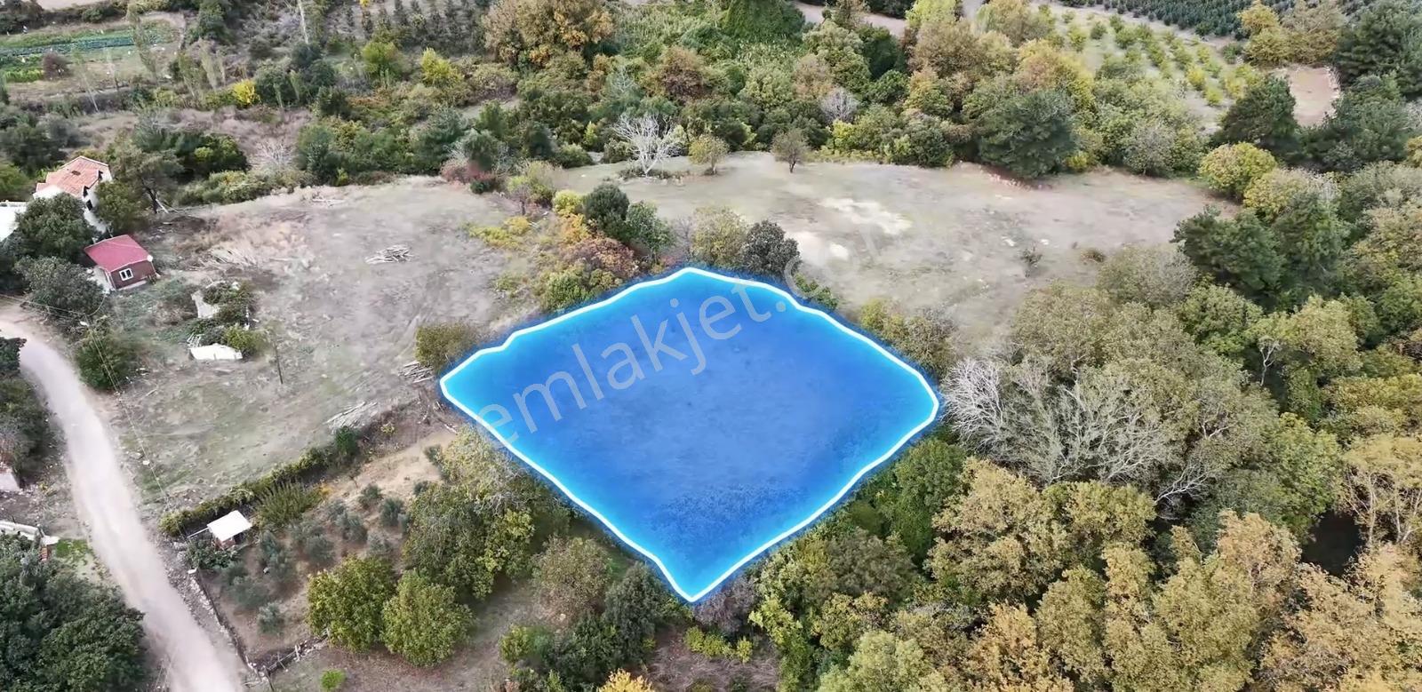 Yiğit Gayrimenkul'den İğdelikte Satılık 2.161 M2 Tarla — fotoğraf 3