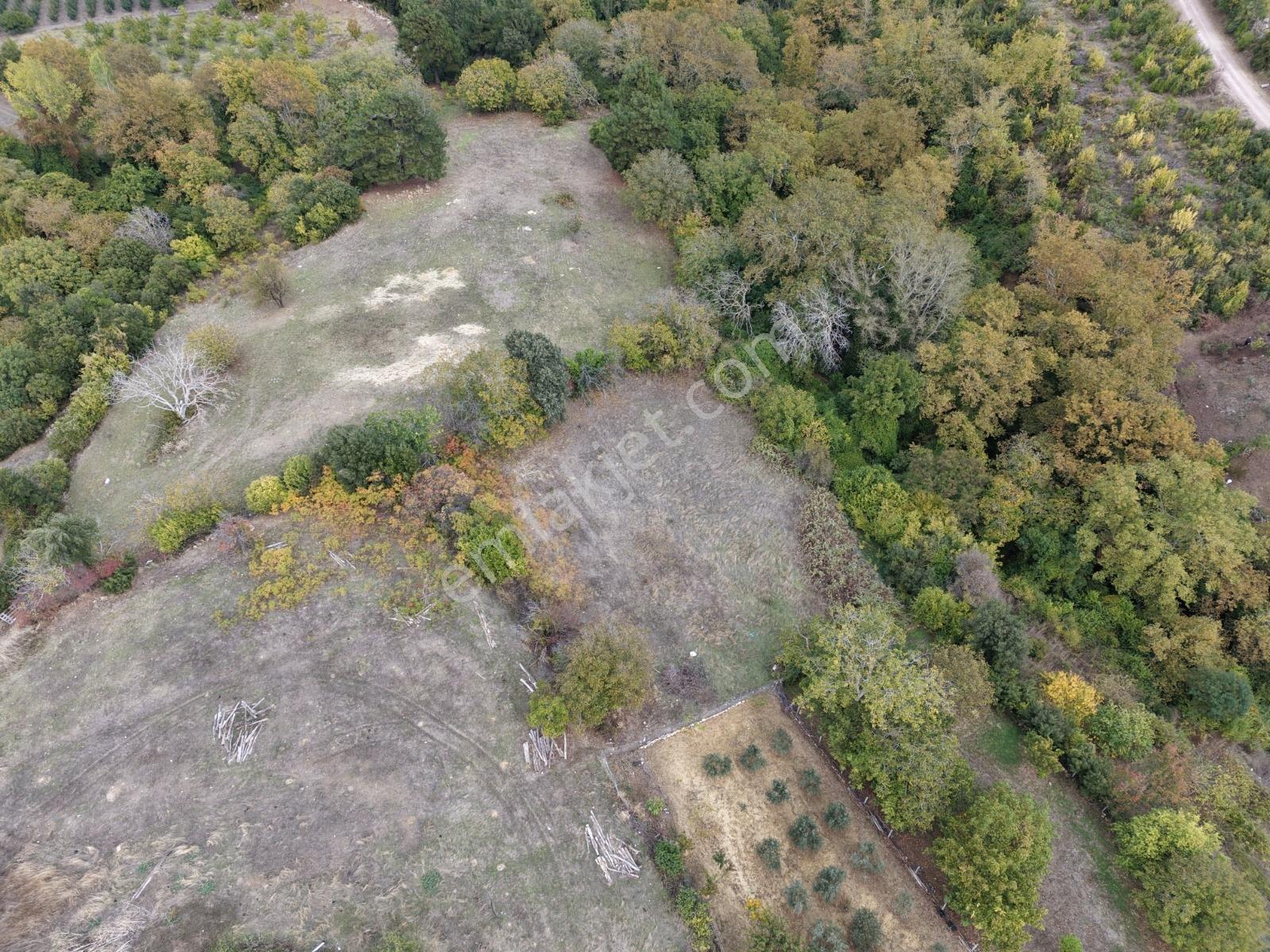 Yiğit Gayrimenkul'den İğdelikte Satılık 2.161 M2 Tarla — fotoğraf 7