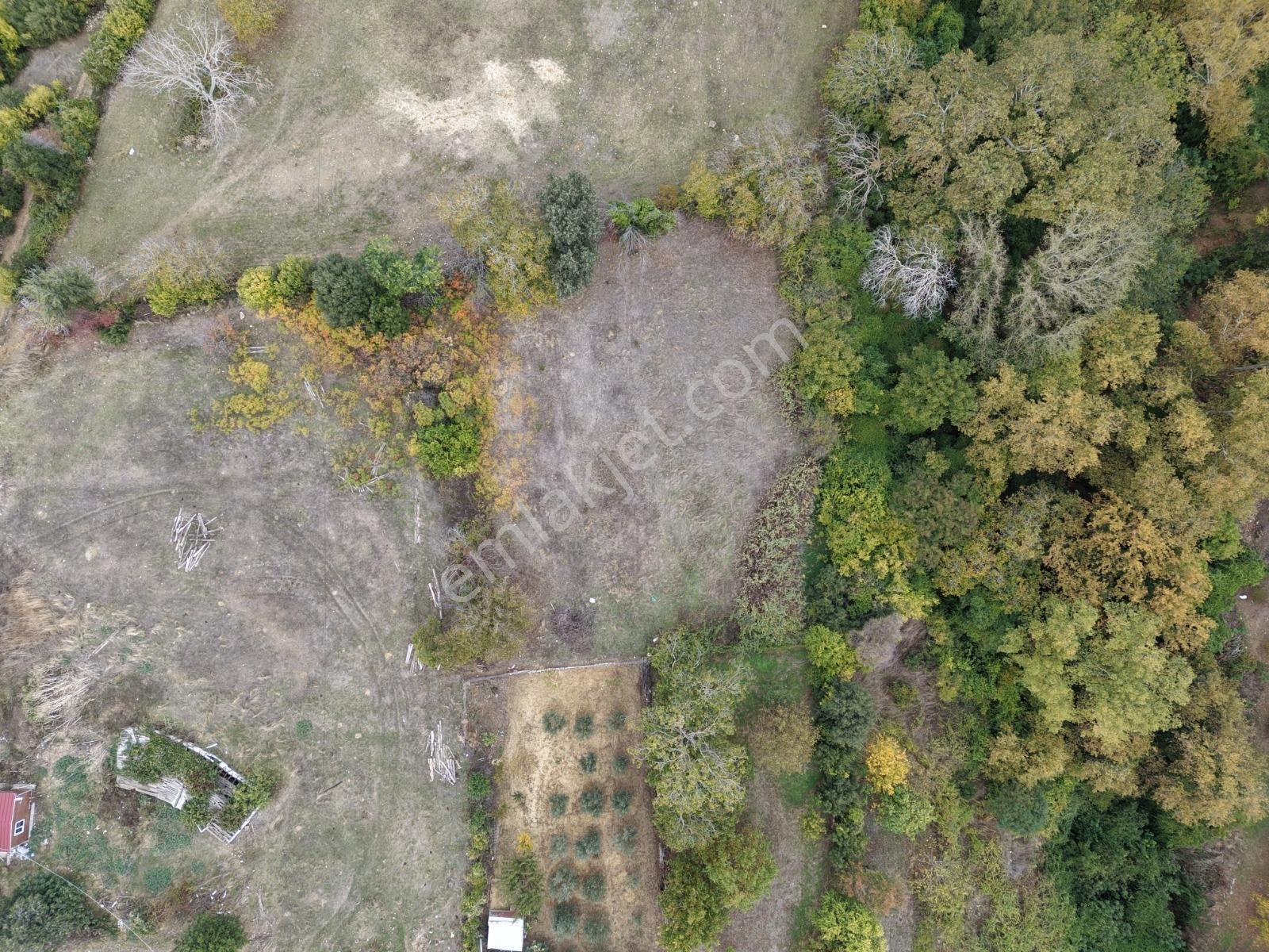 Yiğit Gayrimenkul'den İğdelikte Satılık 2.161 M2 Tarla — fotoğraf 8
