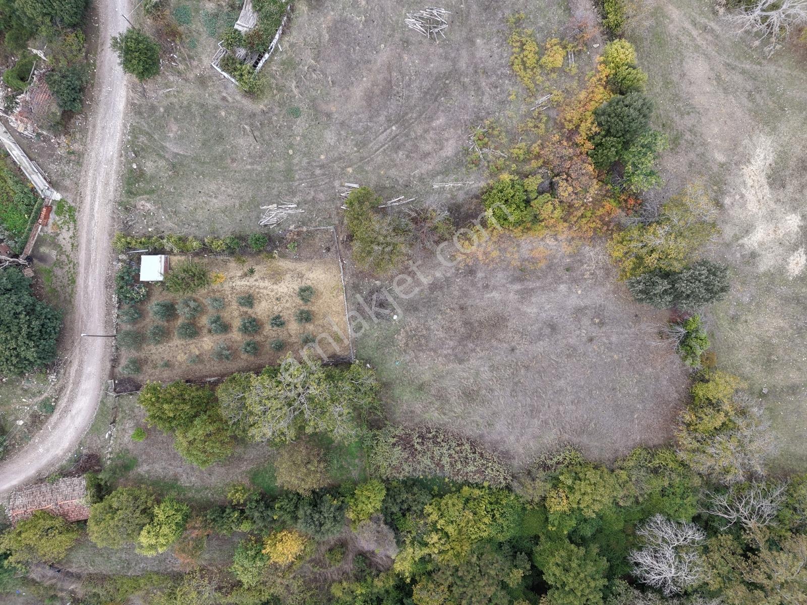 Yiğit Gayrimenkul'den İğdelikte Satılık 2.161 M2 Tarla — fotoğraf 10