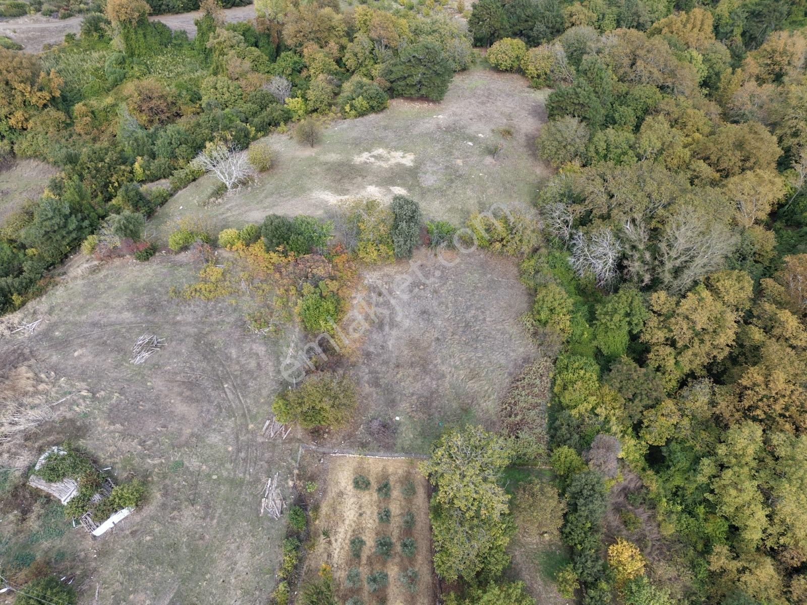 Yiğit Gayrimenkul'den İğdelikte Satılık 2.161 M2 Tarla — fotoğraf 11