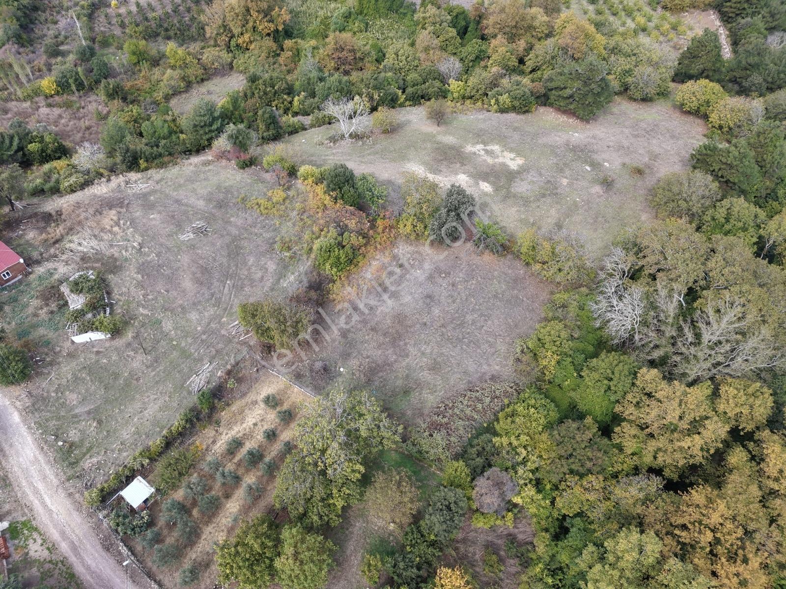 Yiğit Gayrimenkul'den İğdelikte Satılık 2.161 M2 Tarla — fotoğraf 12