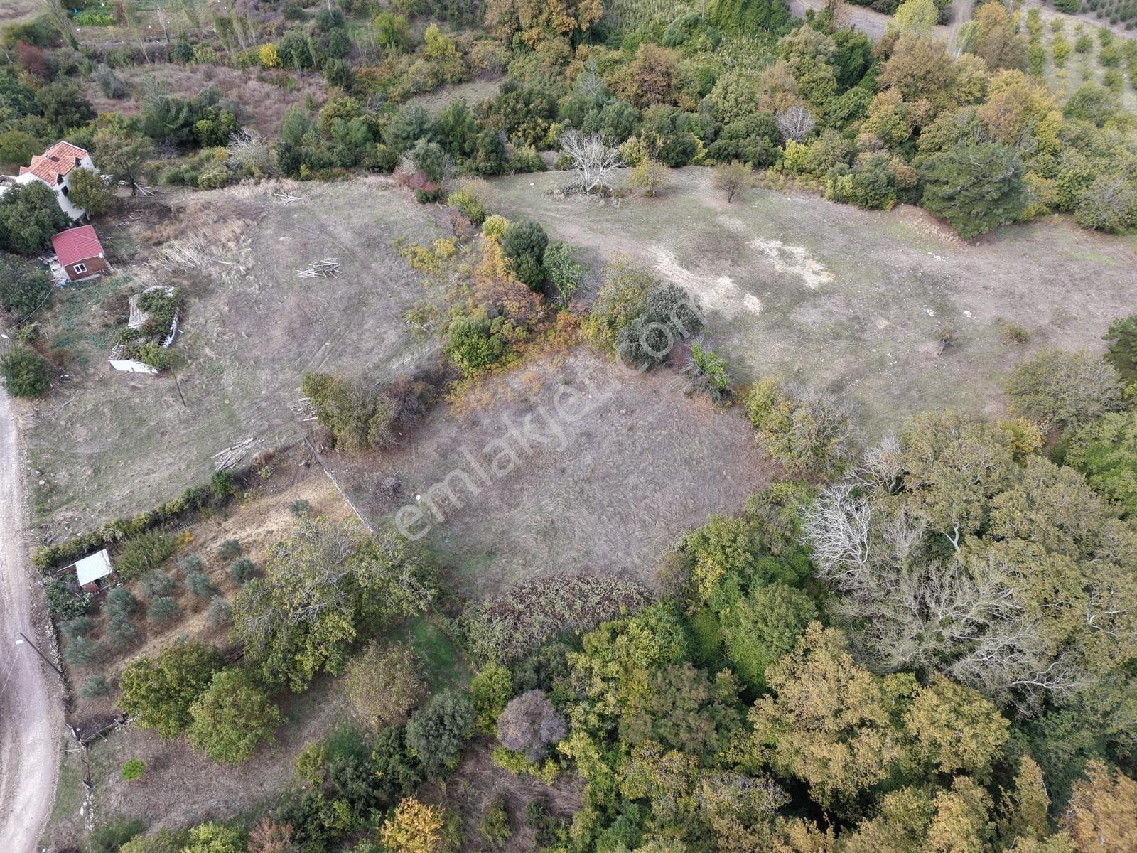 Yiğit Gayrimenkul'den İğdelikte Satılık 2.161 M2 Tarla — fotoğraf 13