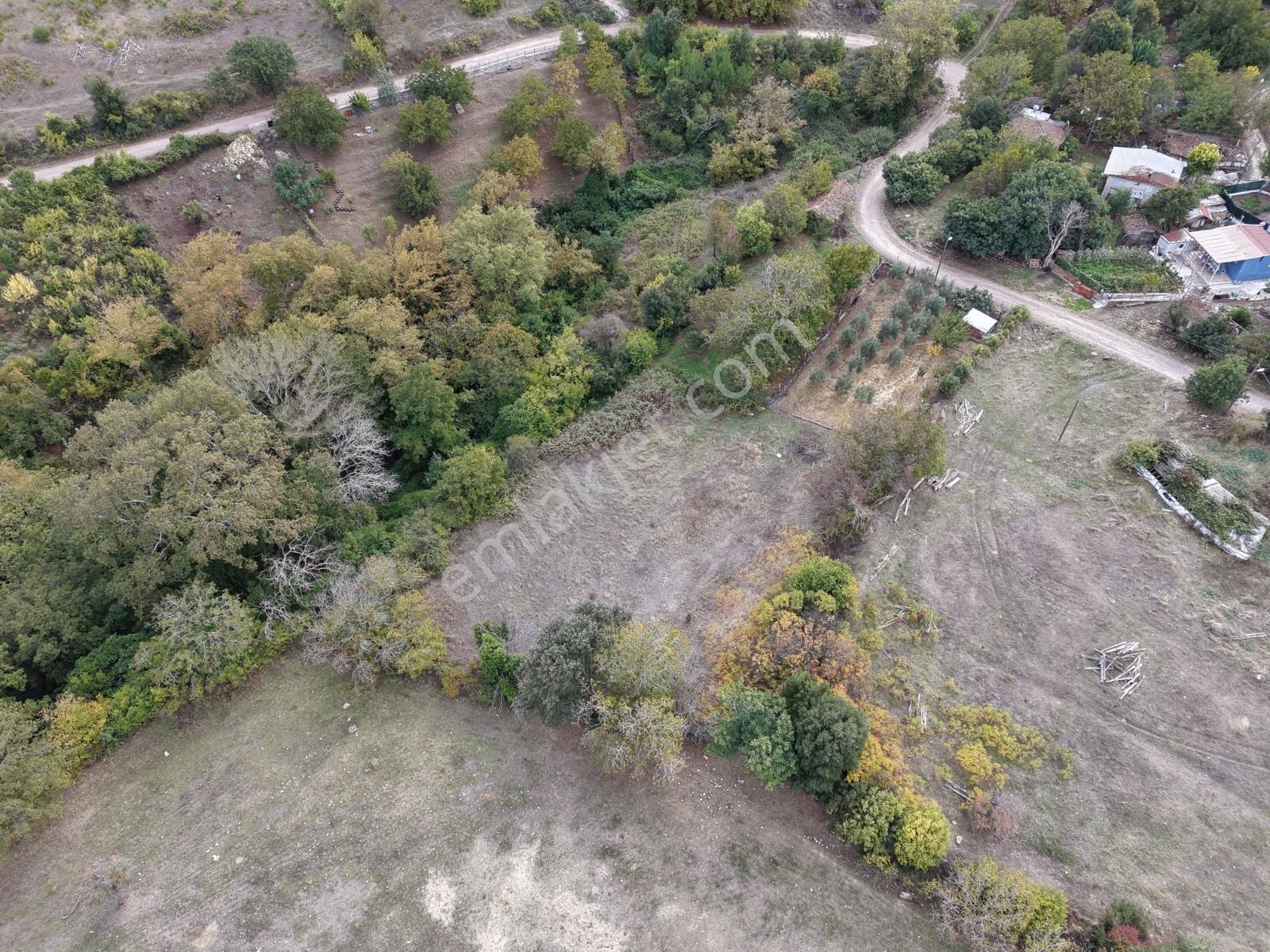 Yiğit Gayrimenkul'den İğdelikte Satılık 2.161 M2 Tarla — fotoğraf 19