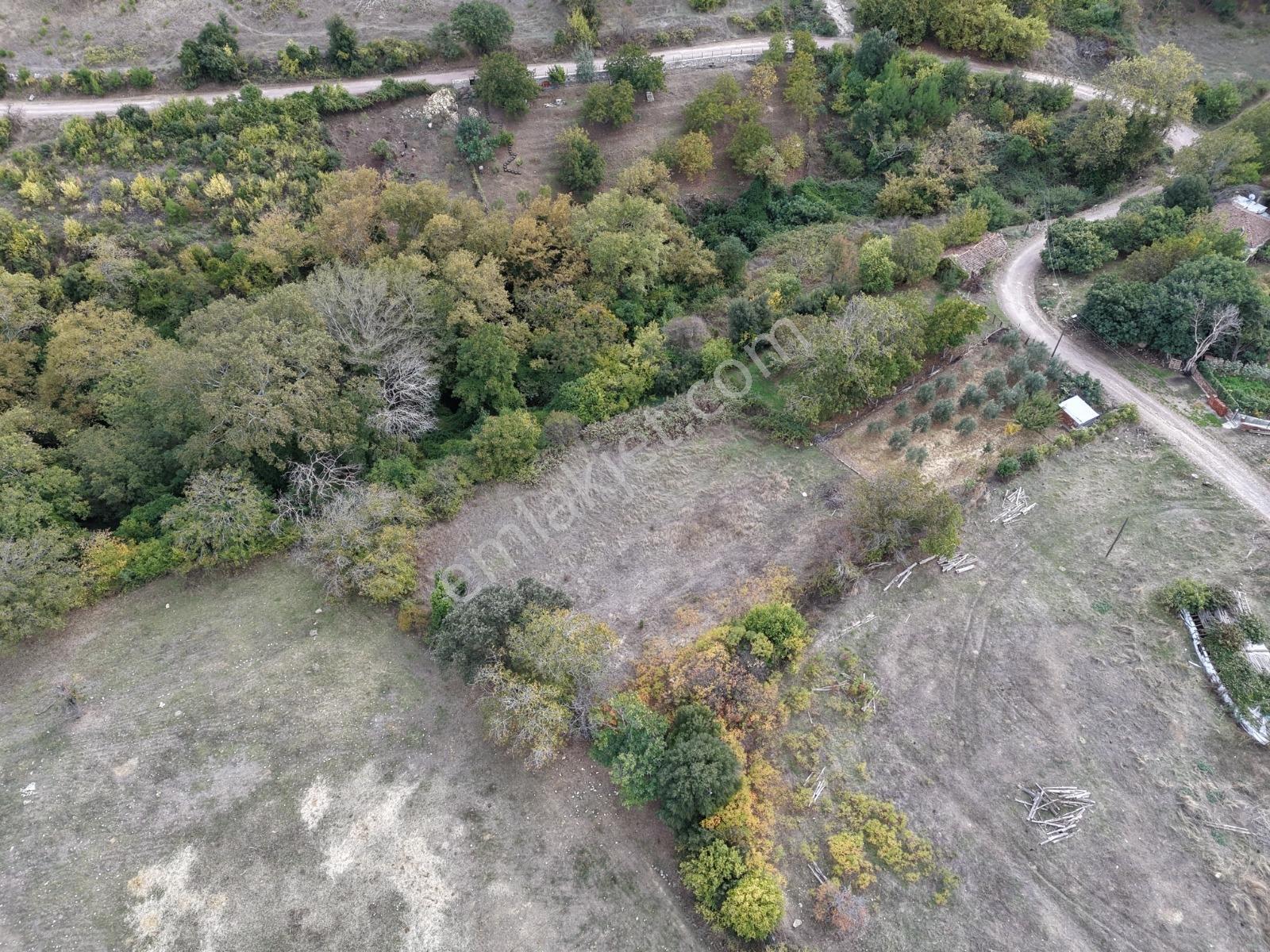 Yiğit Gayrimenkul'den İğdelikte Satılık 2.161 M2 Tarla — fotoğraf 20